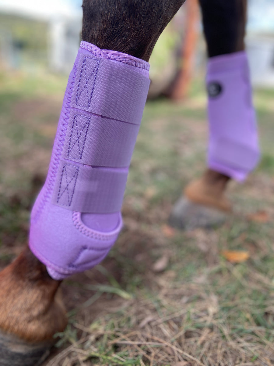 Purple on sale horse boots